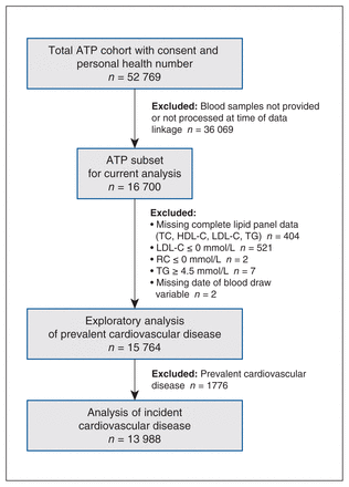 Figure 1: